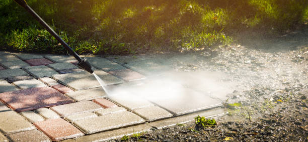 Best Driveway Pressure Washing  in Hercules, CA
